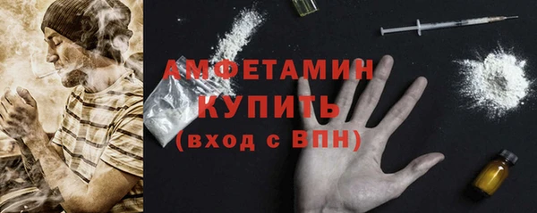 дмт Богданович