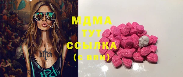 дмт Богданович