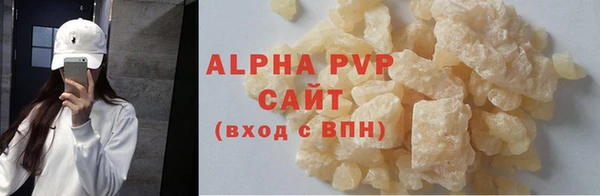дмт Богданович