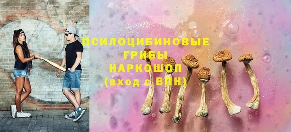 дмт Богданович