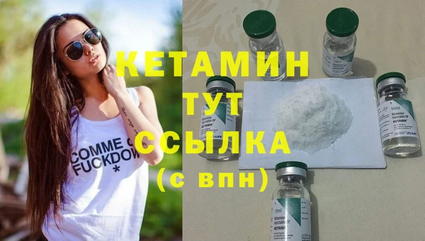 дмт Богданович