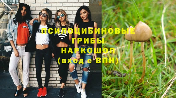 марки nbome Богородицк