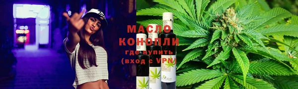 дмт Богданович