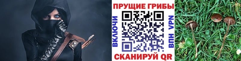 Купить  Можга  Псилоцибиновые грибы GOLDEN TEACHER 