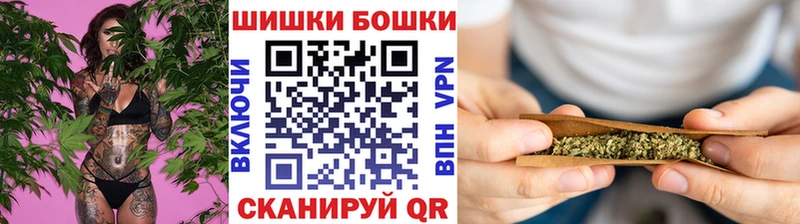 Каннабис сатива  Купить закладки  Можга 